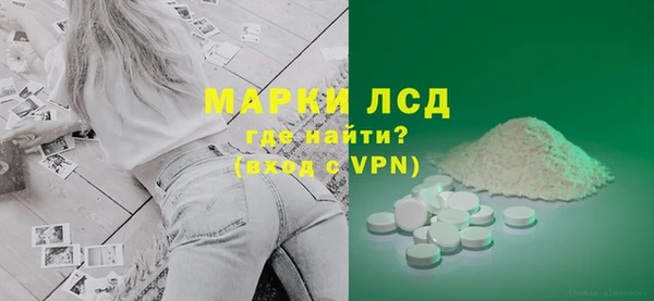 спайс Губаха