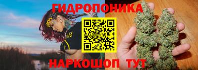 МДПВ Краснознаменск